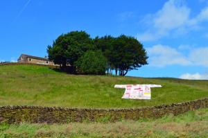 #giantjersey postcard